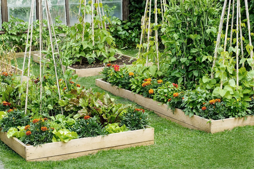What Makes a Good Garden Box?