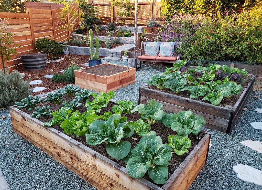 What Makes a Good Garden Box?