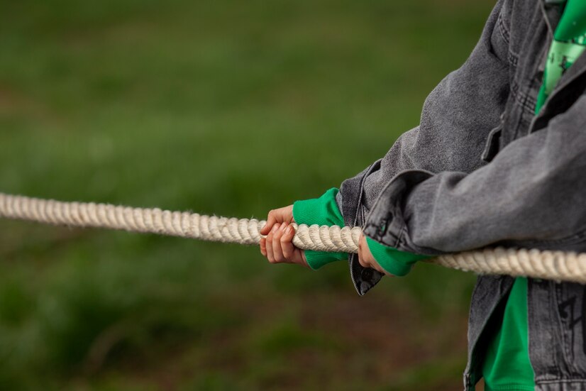 What is the Best Bull Rope for Tree Work