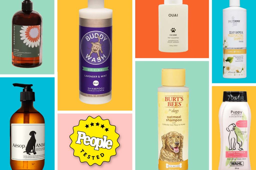 How to choose a shampoo for your dog