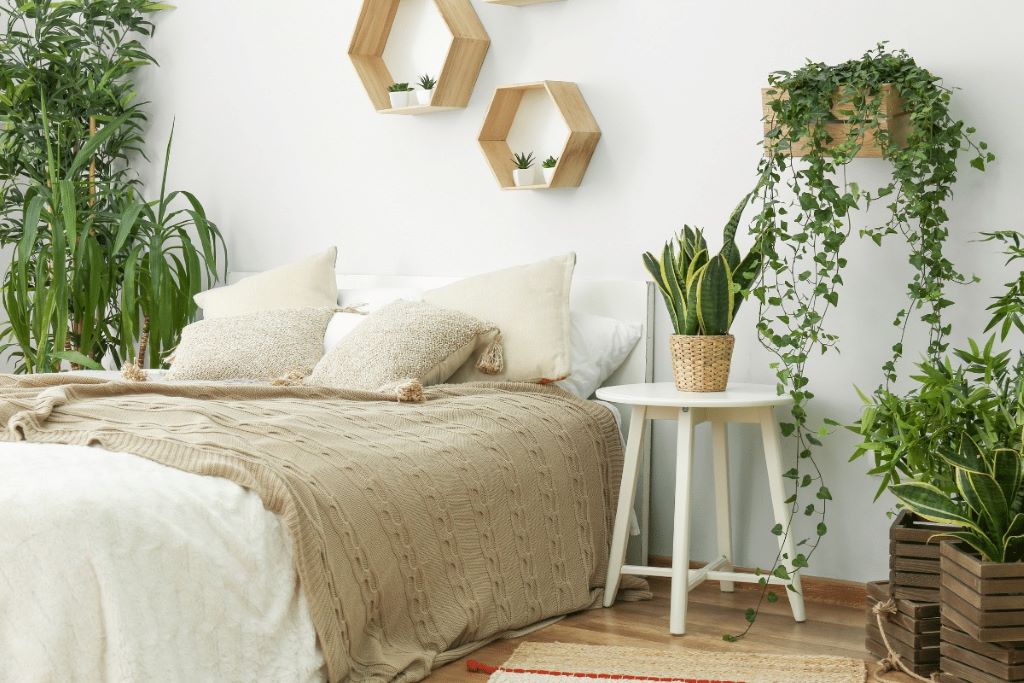 Can you have too much humidity for tropical houseplants