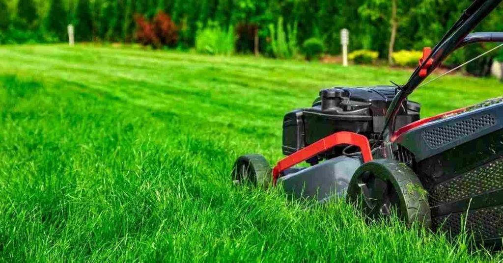 Your Seasonal Guide to Lawn Care & Maintenance