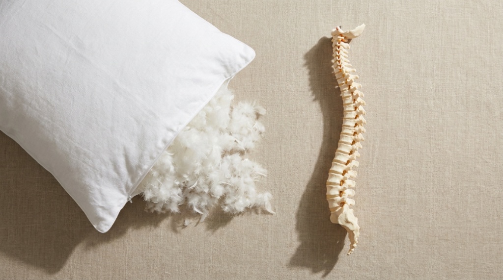 Side sleeper resting on a supportive soft pillow.